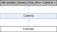 PixelTraq: Kannala Class Reference
